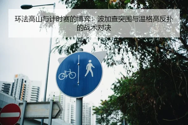 环法高山与计时赛的博弈：波加查突围与温格高反扑的战术对决