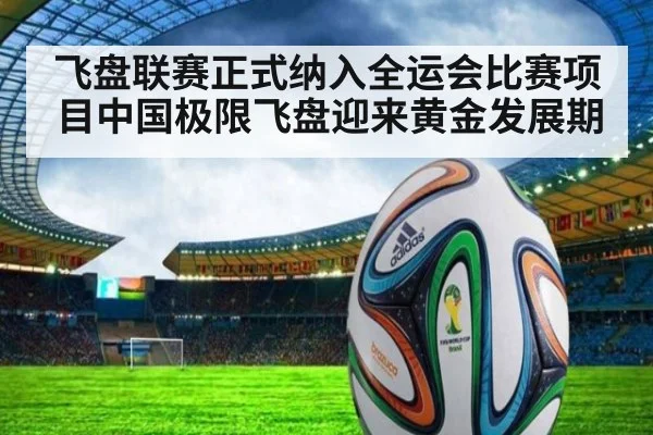 飞盘联赛正式纳入全运会比赛项目中国极限飞盘迎来黄金发展期