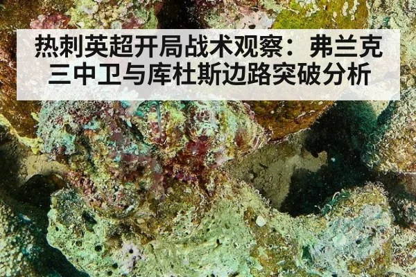 热刺英超开局战术观察：弗兰克三中卫与库杜斯边路突破分析